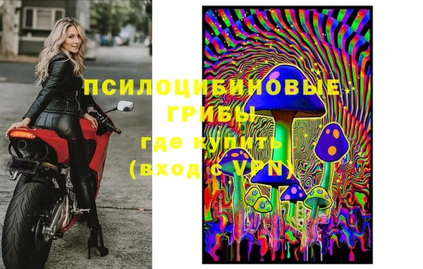 герыч Алзамай