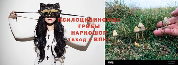 хмурый Алексеевка