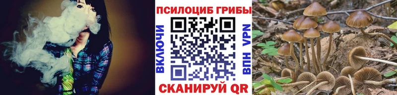 Галлюциногенные грибы Magic Shrooms Снежногорск