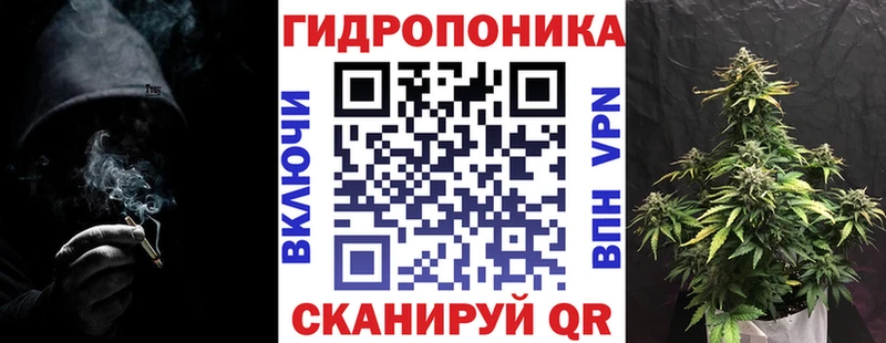 Марихуана конопля  Снежногорск 